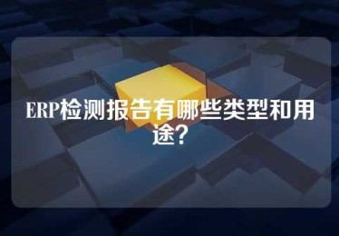 ERP检测报告有哪些类型和用途？