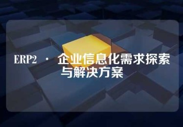 ERP2 · 企业信息化需求探索与解决方案