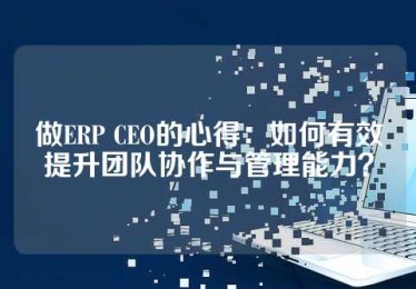 做ERP CEO的心得：如何有效提升团队协作与管理能力？
