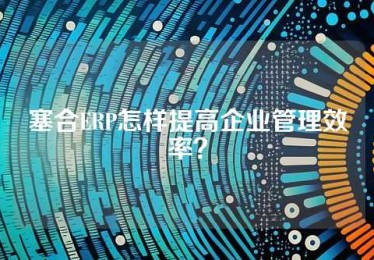 塞合ERP怎样提高企业管理效率？