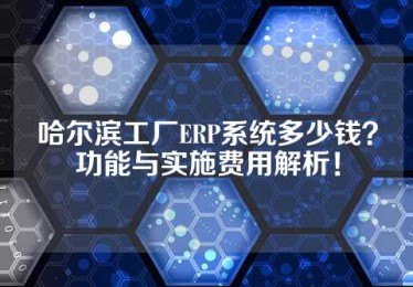 哈尔滨工厂ERP系统多少钱？功能与实施费用解析！