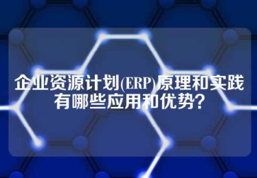 企业资源计划(ERP)原理和实践有哪些应用和优势？