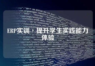 ERP实训·提升学生实践能力体验