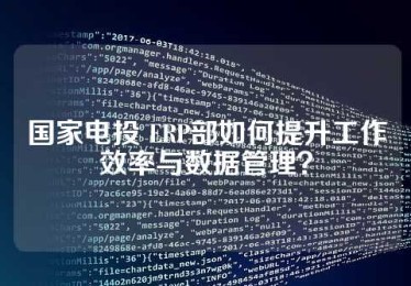 国家电投 ERP部如何提升工作效率与数据管理？
