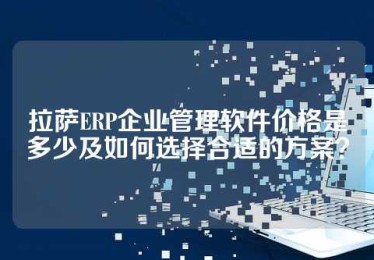 拉萨ERP企业管理软件价格是多少及如何选择合适的方案？
