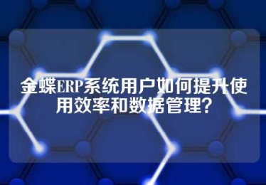 金蝶ERP系统用户如何提升使用效率和数据管理？