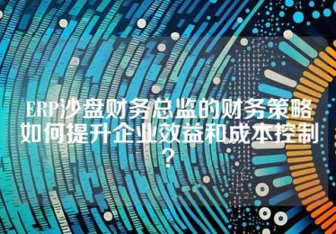 ERP沙盘财务总监的财务策略如何提升企业效益和成本控制？