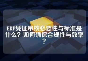 ERP凭证审核必要性与标准是什么？如何确保合规性与效率？