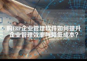 购ERP企业管理软件如何提升企业管理效率与降低成本？