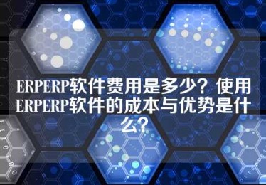 ERPERP软件费用是多少？使用ERPERP软件的成本与优势是什么？