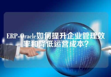 ERP-Oracle如何提升企业管理效率和降低运营成本？