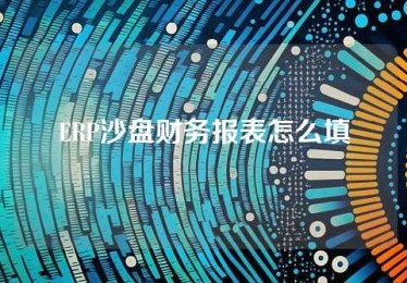 ERP沙盘财务报表怎么填