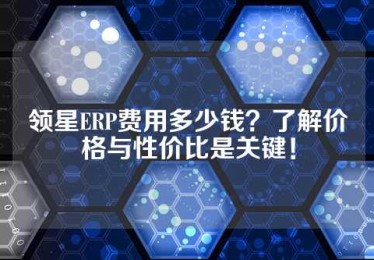 领星ERP费用多少钱？了解价格与性价比是关键！