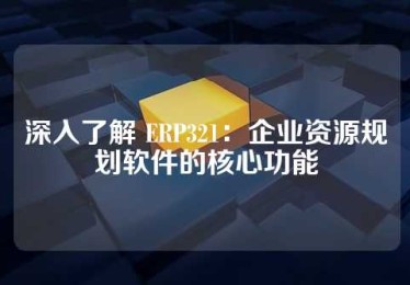 深入了解 ERP321：企业资源规划软件的核心功能