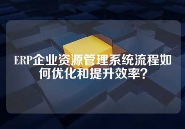 ERP企业资源管理系统流程如何优化和提升效率？