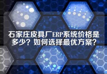 石家庄皮具厂ERP系统价格是多少？如何选择最优方案？