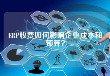 ERP收费如何影响企业成本和预算？