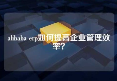 alibaba erp如何提高企业管理效率？