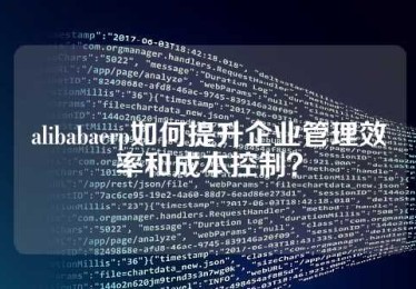 alibabaerp如何提升企业管理效率和成本控制？