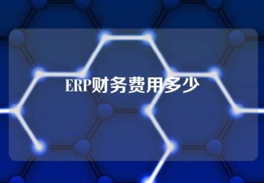 ERP财务费用多少