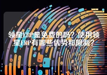 领星ERP是免费的吗？使用领星ERP有哪些优势和限制？