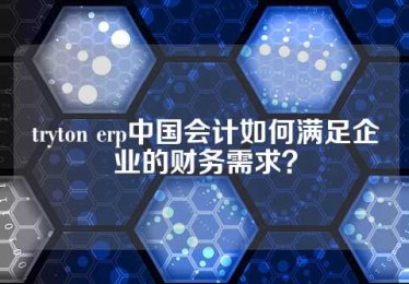 tryton erp中国会计如何满足企业的财务需求？