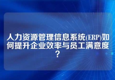 人力资源管理信息系统(ERP)如何提升企业效率与员工满意度？
