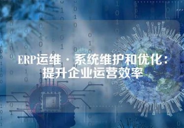 ERP运维·系统维护和优化：提升企业运营效率