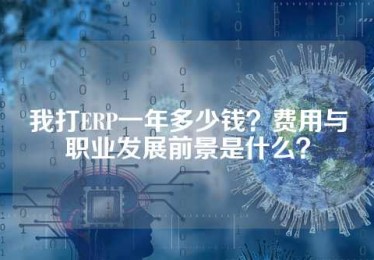 我打ERP一年多少钱？费用与职业发展前景是什么？