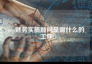 erp财务实施顾问是做什么的工作