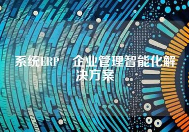 系统ERP•企业管理智能化解决方案