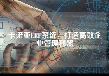 卡诺亚ERP系统，打造高效企业管理利器