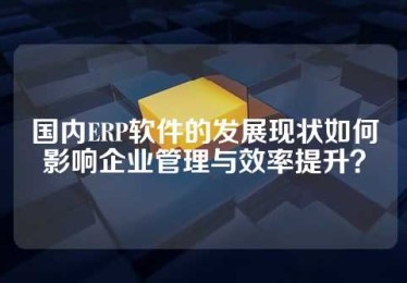 国内ERP软件的发展现状如何影响企业管理与效率提升？