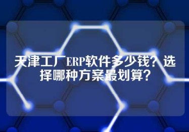 天津工厂ERP软件多少钱？选择哪种方案最划算？