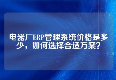 电器厂ERP管理系统价格是多少，如何选择合适方案？