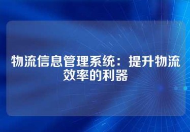 物流信息管理系统：提升物流效率的利器