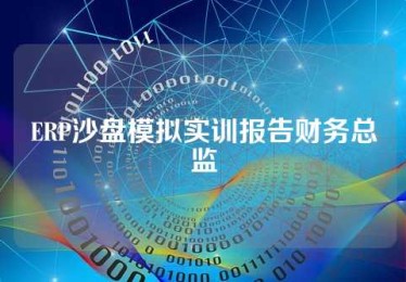 ERP沙盘模拟实训报告财务总监