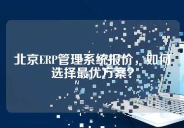 北京ERP管理系统报价，如何选择最优方案？