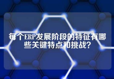 每个ERP发展阶段的特征有哪些关键特点和挑战？