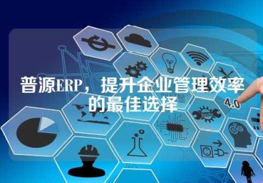 普源ERP，提升企业管理效率的最佳选择
