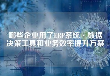 哪些企业用了ERP系统·数据决策工具和业务效率提升方案