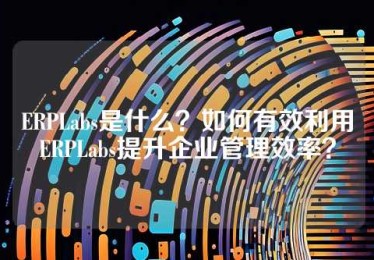 ERPLabs是什么？如何有效利用ERPLabs提升企业管理效率？