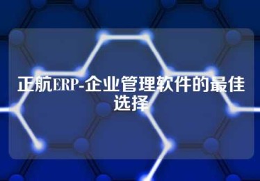 正航ERP-企业管理软件的最佳选择
