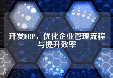 开发ERP，优化企业管理流程与提升效率