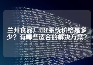 兰州食品厂ERP系统价格是多少？有哪些适合的解决方案？