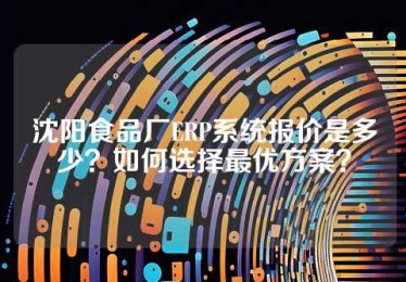 沈阳食品厂ERP系统报价是多少？如何选择最优方案？