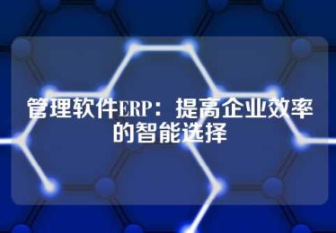 管理软件ERP：提高企业效率的智能选择