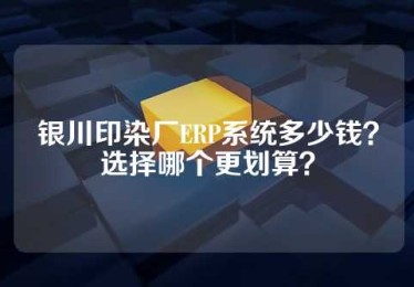 银川印染厂ERP系统多少钱？选择哪个更划算？