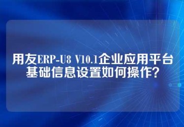 用友ERP-U8 V10.1企业应用平台基础信息设置如何操作？