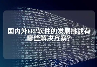 国内外ERP软件的发展挑战有哪些解决方案？